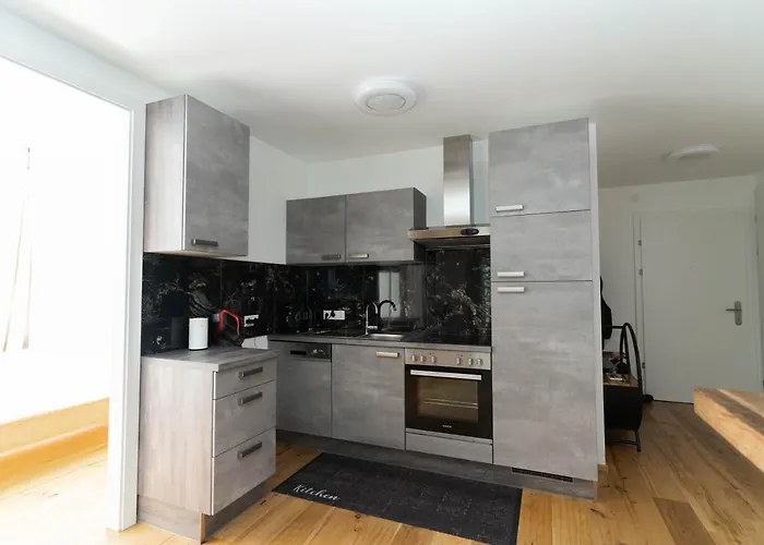 Apartment Luxurious With Big Balcony Near Center Vienna